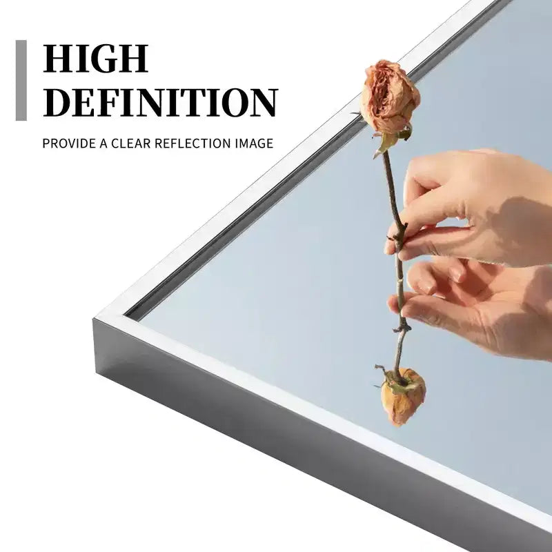 21 in. W x 64 in. H Rectangular Metal Framed Full Length Wall Mirror Free Standing Mirror in Silver