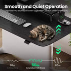 All in 1 Electric Height Adjustable Desk Smart, Modular & Ergonomic