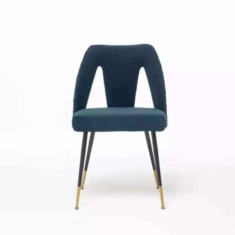 Velvet Upholstered Dining Chairs Set of 2, Accent Chairs with Nailhead Trim and Gold-Tipped Black Metal Legs for Kitchen or Dining Area