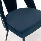 Velvet Upholstered Dining Chairs Set of 2, Accent Chairs with Nailhead Trim and Gold-Tipped Black Metal Legs for Kitchen or Dining Area