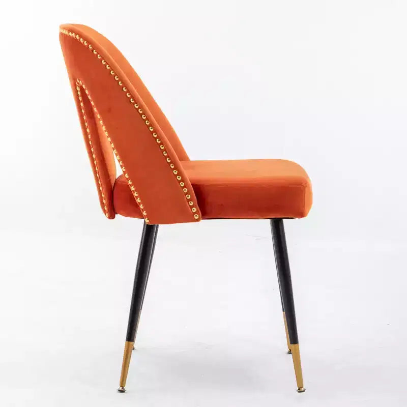 Velvet Upholstered Dining Chairs Set of 2, Accent Chairs with Nailhead Trim and Gold-Tipped Black Metal Legs for Kitchen or Dining Area