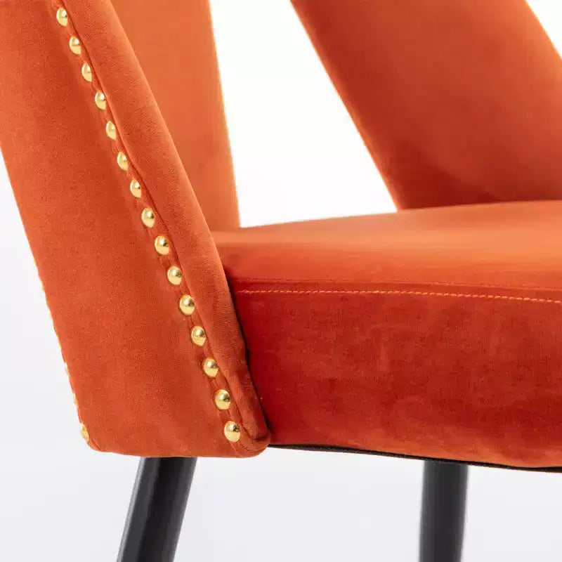 Velvet Upholstered Dining Chairs Set of 2, Accent Chairs with Nailhead Trim and Gold-Tipped Black Metal Legs for Kitchen or Dining Area